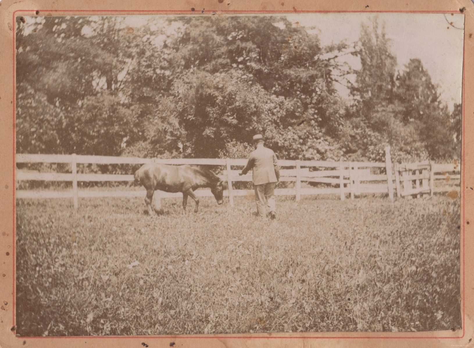 Aloys et âne