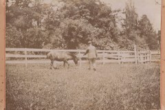 Aloys et âne