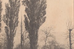 Avenue Peupliers direction Marsillon