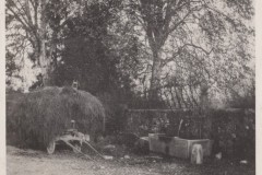 Char de foin devant la fontaine