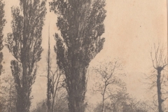 Avenue de Peupliers direction Marsillon