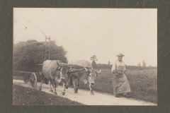 Fermier avec le char de foin